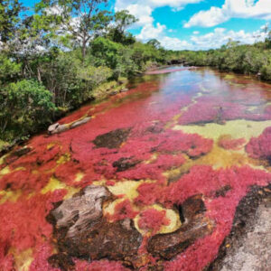 Caño cristales