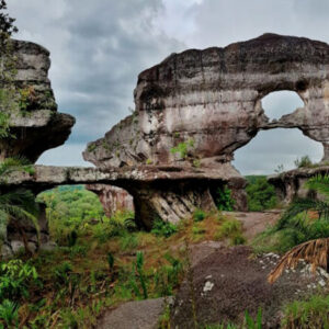 Guaviare (3d2n)