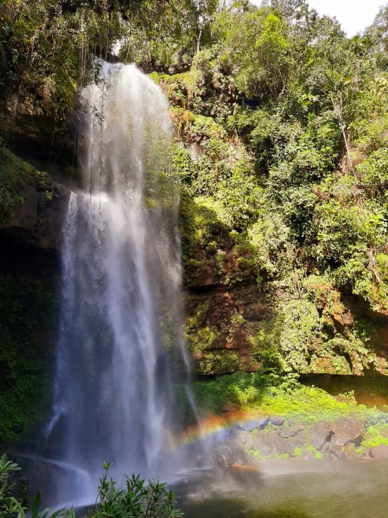PUTUMAYO 5D4N
