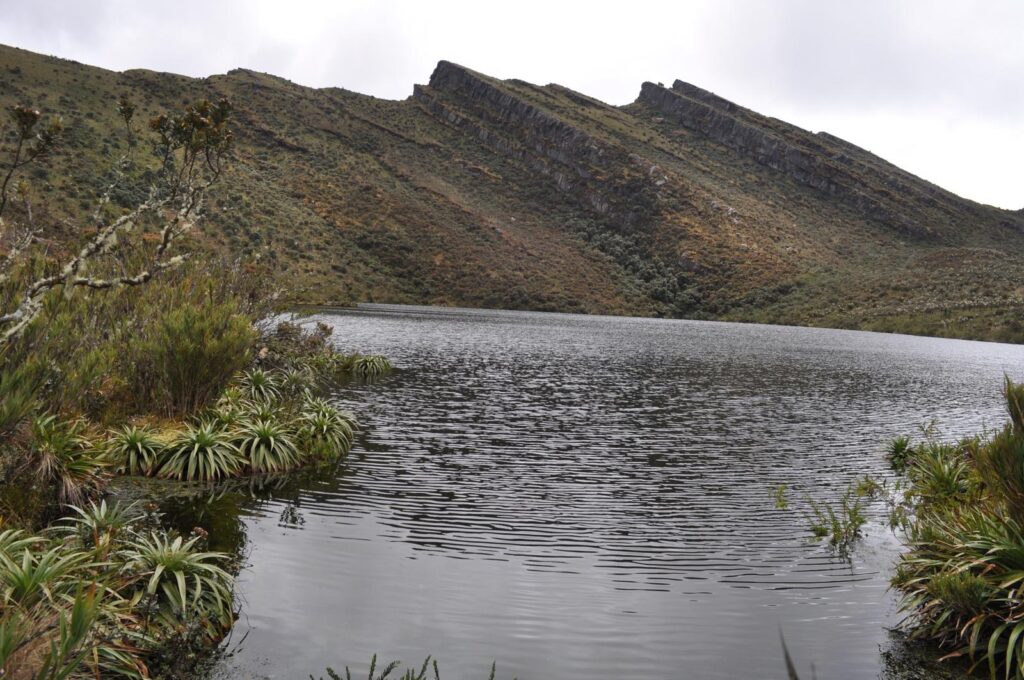 CHINGAZA NATIONAL PARK 1D