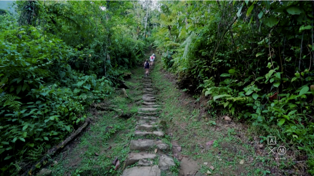 LOST CITY 4D3N