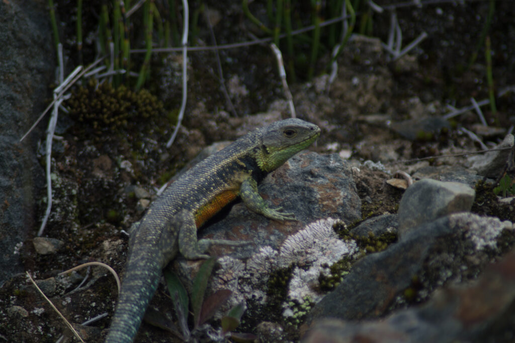 COCUY NATIONAL PARK 3D2N
