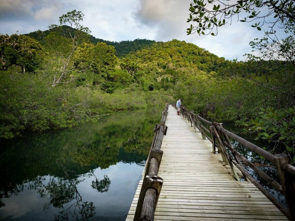 BAHIA SOLANO 4D3N