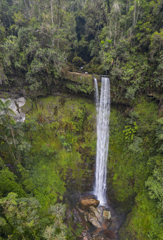 PUTUMAYO 5D4N