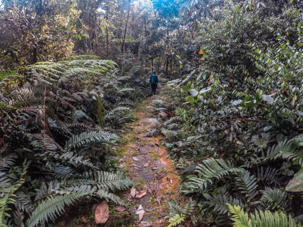TREKING TRIP 15D (A)