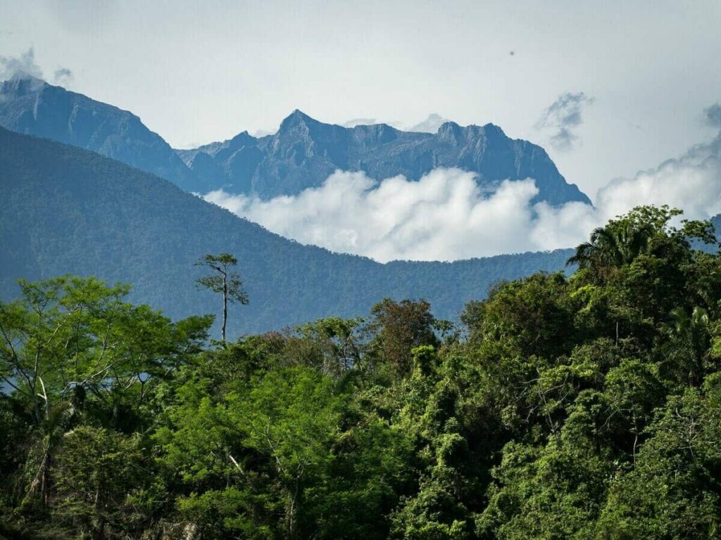 NATURE 15 D (B)