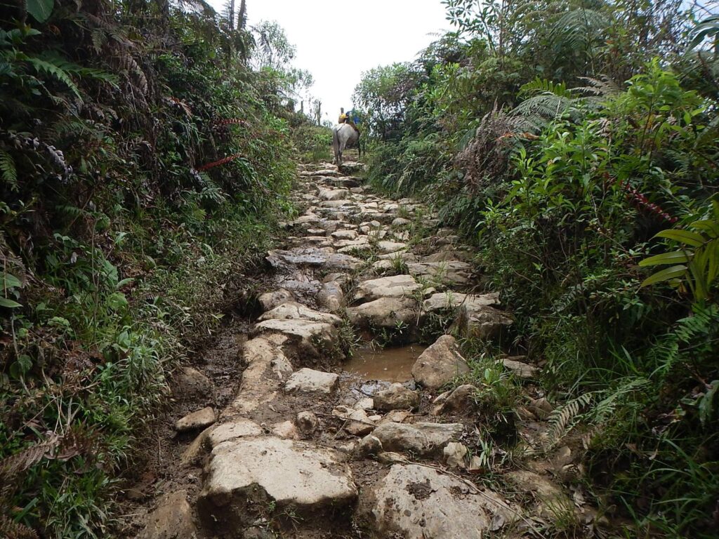 TREKING TRIP 15D (A)